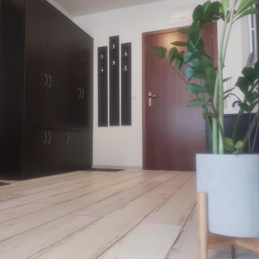 Saint Nicholas Varna Lovely 2 Bedroom Apartment With Sunny Garden Zewnętrze zdjęcie