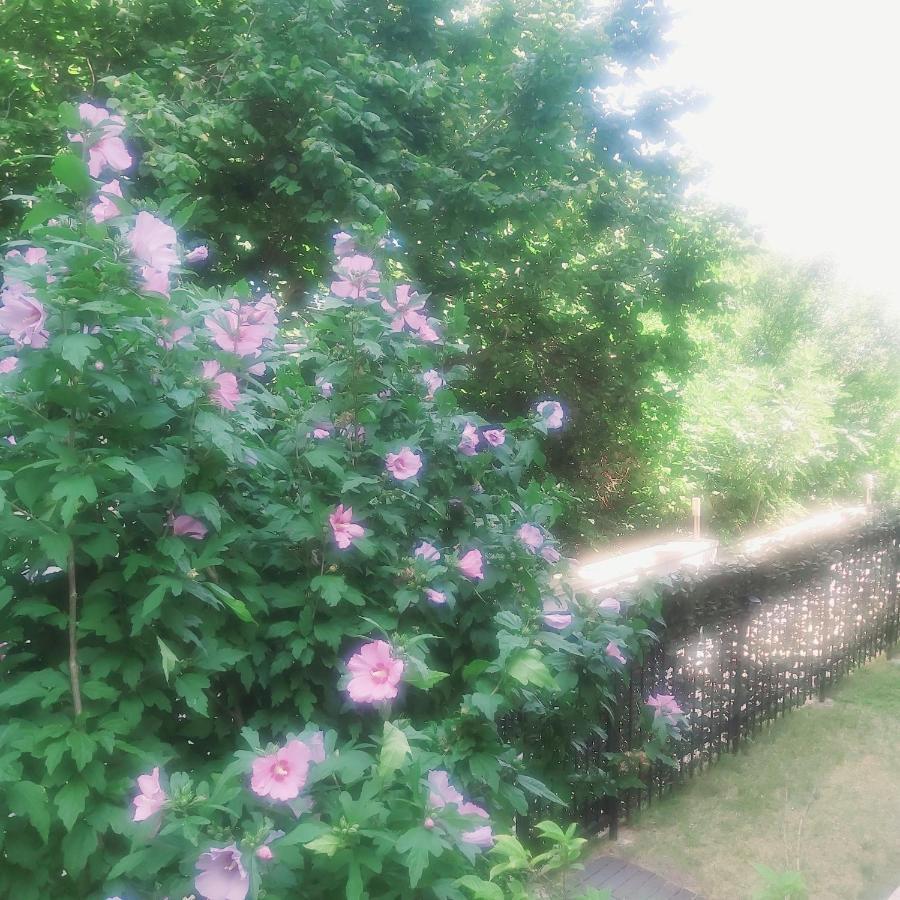 Saint Nicholas Varna Lovely 2 Bedroom Apartment With Sunny Garden Zewnętrze zdjęcie